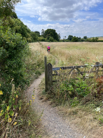 Cotswolds cyclist on single track past fence