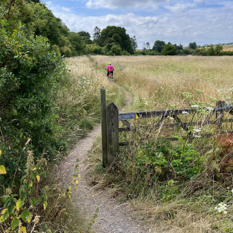 Cotswolds cyclist on single track past fence