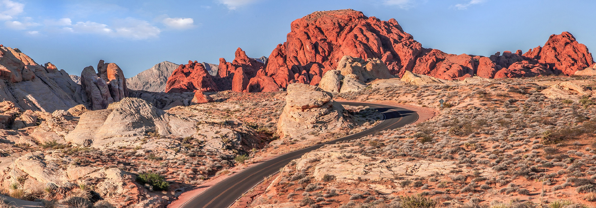 Mojave Desert