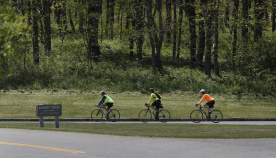 Bike Riders Blue Ridge Bike Tour