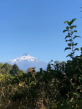 Lake and Volcano District from the Chile Bike Tour