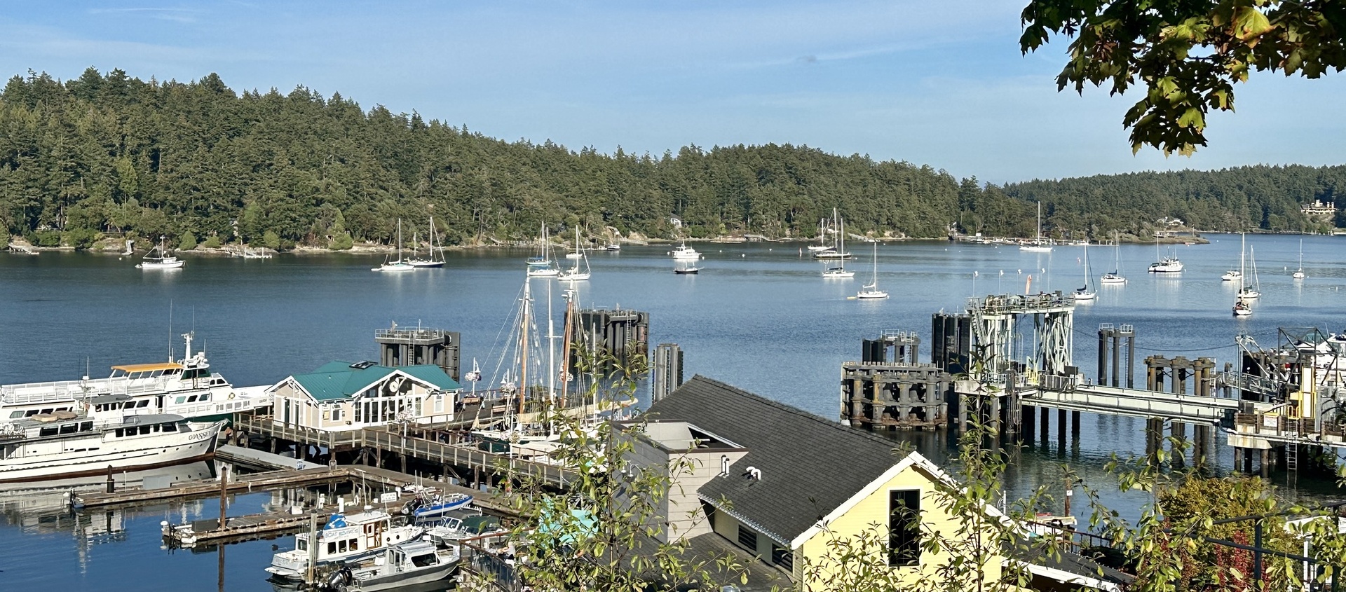 Washington: San Juan Islands - Bike Tour
