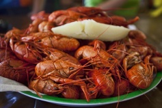 Crawfish served during Louisiana Bike Tour