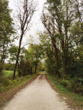 Trail view Katy Trail Bike Tour