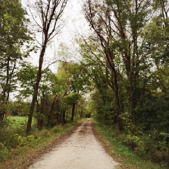 Trail view Katy Trail Bike Tour