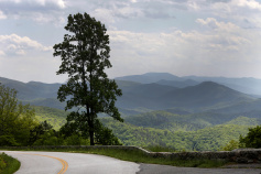 Mountain View Blue Ridge Bike Tour