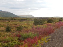 Nome bike tour