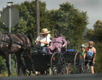 Horse and buggy Pennsylvania Dutch Country Bike Tour