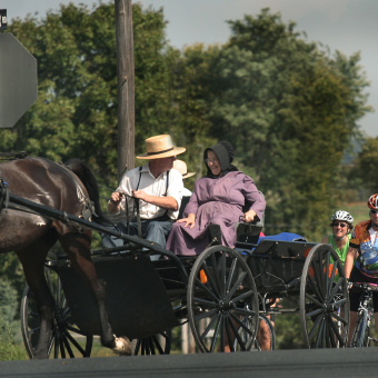 Horse and buggy Pennsylvania Dutch Country Bike Tour