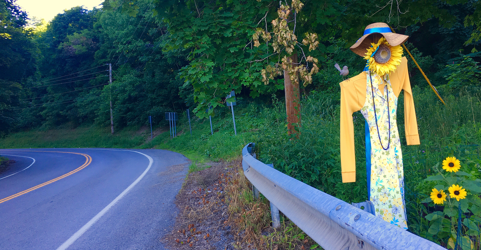 Surprise sunflower scarecrow on side of road.