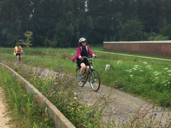 Cyclist on bike path during Holland Bike and Barge Bike Tour