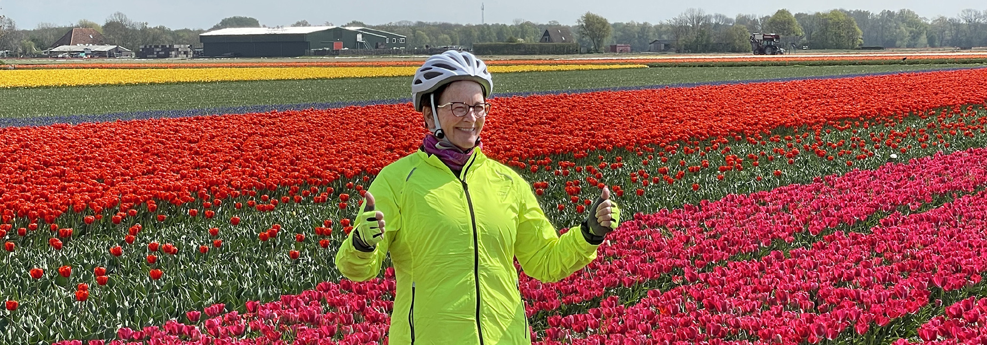 Netherlands Sail & Cycle Tulip Tour
