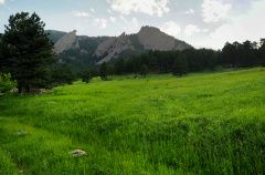 field and mountains in the Boulder Bike Tour in CO