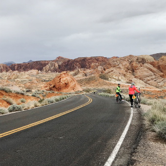 Mojave Desert Tour B