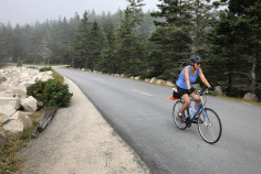 Cyclist on bike path during Maine Acadia National Park Bike Tour