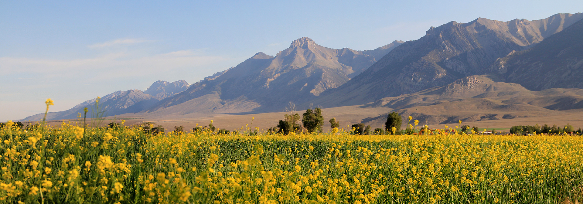 Idaho: Sun Valley