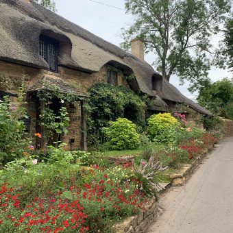 Cotswolds house flowers