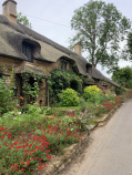 Cotswolds house flowers