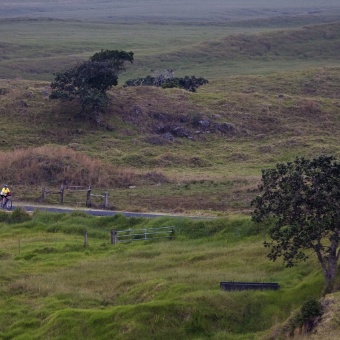 Grass field along bike path Hawaii Bike Tour