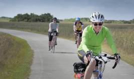 Three cyclist on the bike path during Florida Everglades and the Keys Bike Tour