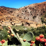 Cats and small village Morocco Bike Tour