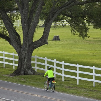 Cyclist on road during Louisiana Bike Tour