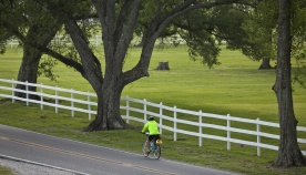 Cyclist on road during Louisiana Bike Tour