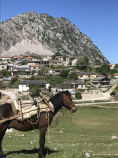 Town and Donkey Albania Bike Tour