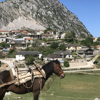 Town and Donkey Albania Bike Tour