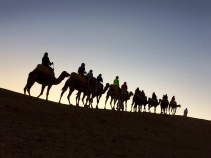 Camel riding Morocco Bike Tour