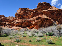 Mojave Desert Tour F