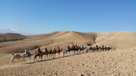 Camel riding in desert Morocco Bike Tour