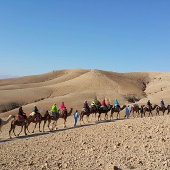 Camel riding in desert Morocco Bike Tour