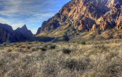 mountains in Big Bend National Park Bike Tour in Texas