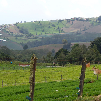 View of Fields Costa Rica Bike Tour