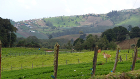 View of Fields Costa Rica Bike Tour