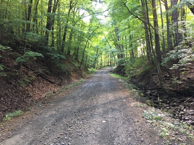 Karen Miltner captured this peaceful moment while bike riding the dirt roads near her home in the Finger Lakes region of New York. 