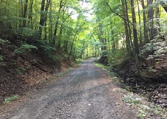 Karen Miltner captured this peaceful moment while bike riding the dirt roads near her home in the Finger Lakes region of New York. 