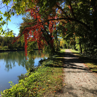 Canal path during Erie Canal Bike Tour