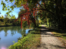 Canal path during Erie Canal Bike Tour