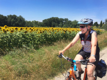 Sunflower field and Cyclist France Bike Tour
