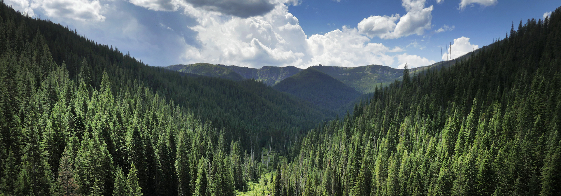 Idaho Greenways