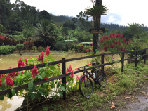 Beautiful pond Costa Rica Bike Tour