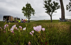 Plant scenery during Louisiana Bike Tour