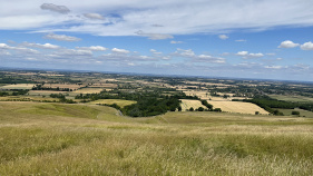 Cotswolds open field