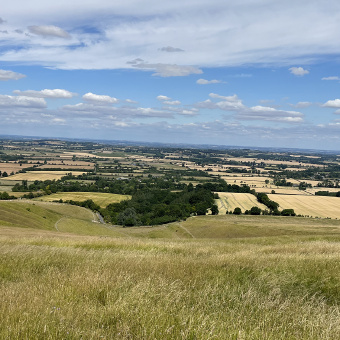 Cotswolds open field