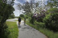 Bike path with two cyclists Massachusetts Island Hopper Bike Tour