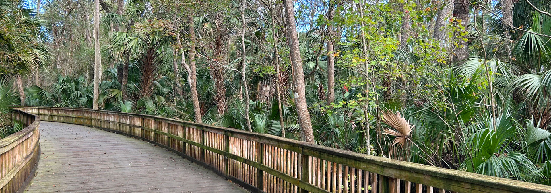 Florida: Orlando-to-Ocean Pathways