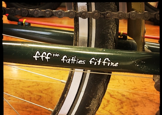 fatties fit fine bike