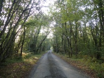 Bike Tour in Dordogne France -  Road quiet and shady perfect for biking